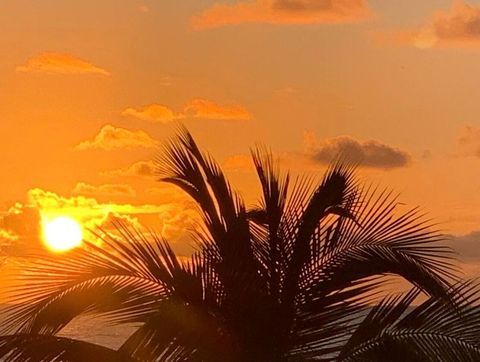 The most amazing sunsets.