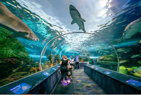 Ripley's Aquarium located walking distance away