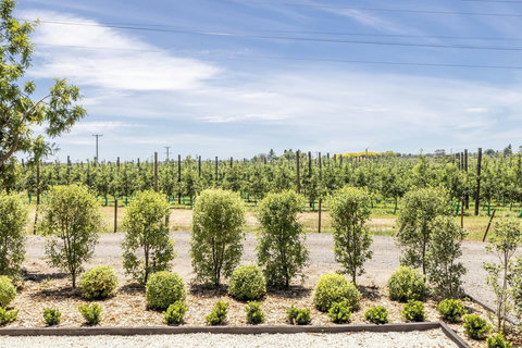 Look over a stunning apple orchard