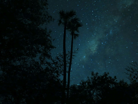 The sky at night time filled with stars!