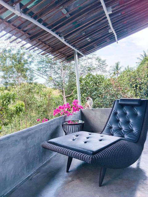 Chilling spot, comfortable chair. If you feel right :)