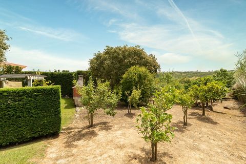 Our fruit yard! 