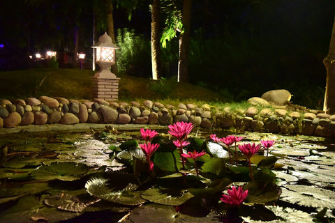 Little pond with lotus bloom