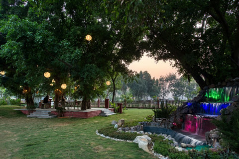 Seating arrangements under huge Banyan tree.