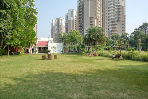 Swing, seats and outhouse  in the lawn.