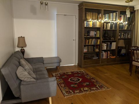 Living, Dinning and Sofa bed.