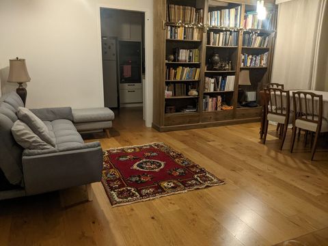 Living, Dinning and Sofa bed.