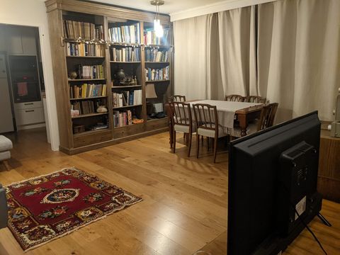 Living, Dinning and Sofa bed.