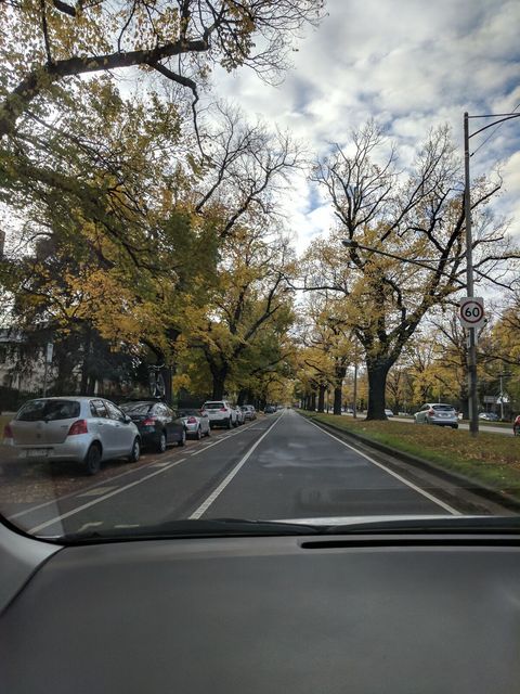 Royal Parade