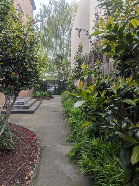 Court Yard 