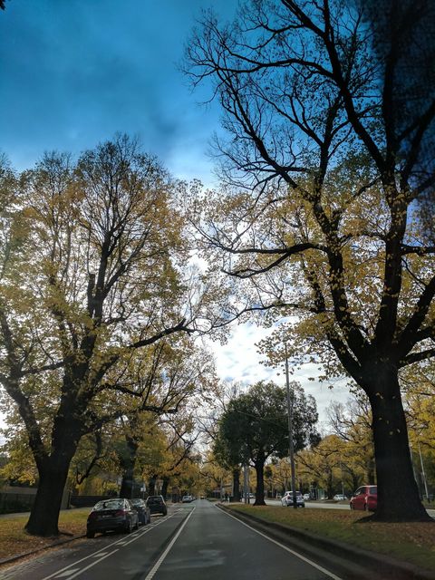 The park infront of the building