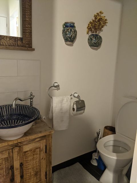 Blue Toilet 