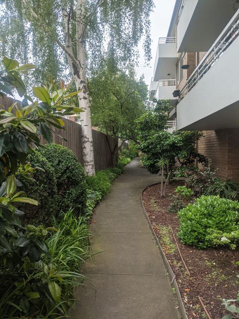 Court Yard 