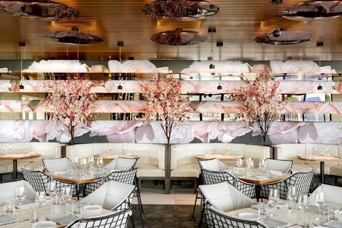 Rooftop restaurant serving brunch, lunch and dinner.